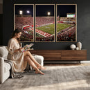 Indiana University Hoosiers Football Team Print Canvas -