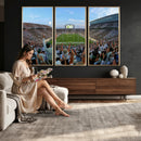 Michigan State Spartans Football Team Art Print - East