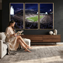 Michigan State Spartans Canvas, Framed Football Team Print -
