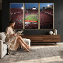 Ohio State University Buckeyes Football Team Print -