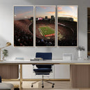 Ohio State University Buckeyes Football Team Print -
