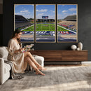 Rice University Owls Football Team Print - Houston Rice