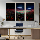 Rutgers Scarlet Knights Football Team Print - SHI Stadium,