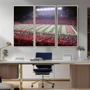 Rutgers University Scarlet Knights Football Team Print -