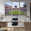 TCU Horned Frogs Football Team Print - Fort Worth Amon G.