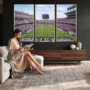 TCU Horned Frogs Football Team Print - Fort Worth Amon G.