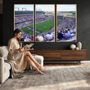 The Texas Christian University TCU Horned Frogs Football