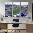 The Texas Christian University TCU Horned Frogs Football