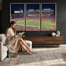 The University of Southern California USC Trojans Football