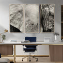 Elephant Wall Art Canvas Print