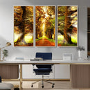 Sunshine in Forest and Trees Wall Art Canvas Print by MyGreatCanvas | Canvas Wall Art Prints | Photo Prints & Wall Decor