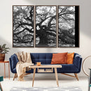 Ancient Oak Wall Art Canvas Print, Majestic Twisted Branches by MyGreatCanvas | Canvas Wall Art Prints | Photo Prints & Wall Decor