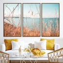 Coastal Grass Landscape Wall Art Canvas Print – Golden
