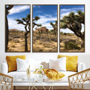 Joshua Tree Desert Wall Art Canvas Print – Framed by MyGreatCanvas | Canvas Wall Art Prints | Photo Prints & Wall Decor