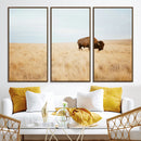Buffalo Wall Art Canvas Print – Framed Western Wildlife by MyGreatCanvas | Canvas Wall Art Prints | Photo Prints & Wall Decor