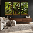 Angel Oak Tree Wall Art Canvas Print | Forest Tree Nature