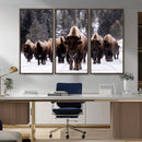 Bison Wall Art Canvas Print- Bison Herd Canvas Wall Art –