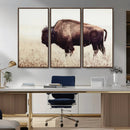 Bison in Field Wall Art Canvas Print For Farmhouse Barn