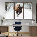 Bison Wall Art Canvas Print For Farmhouse, Animal Canvas