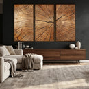 Tree Ring Canvas Art, Rustic Wood Grain Wall Art, Tree Slice