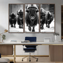 American Bison Art | Buffalo Herd Wall Art Canvas Print, BW