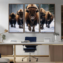 Buffalo Wall Art Canvas Print, American Bison Herd Wall Art by MyGreatCanvas | Canvas Wall Art Prints | Photo Prints & Wall Decor