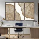 Rustic Brown Tree Ring Wall Art Canvas Print – Framed and