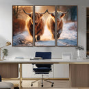 Scottish Highland Cow Horn Farm Wall Art Canvas Print