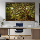 Ancient Angel Oak Tree Art Sunburst Canvas Print-