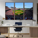 Cincinnati Reds Baseball Canvas Print - American Ball