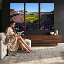 Cincinnati Reds Baseball Canvas Print - American Ball