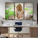 Leopard on the Prowl - Stunning Large Framed Leopard Wall