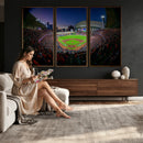Houston Astros Baseball Print Canvas - Houston Minute Maid