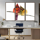 Cardinal Bird Canvas Wall Art - Male and Female Cardinal