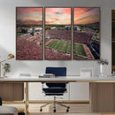 Indiana Memorial Stadium Wall Art Canvas Print, Framed