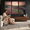 Indiana Memorial Stadium Wall Art Canvas Print, Framed