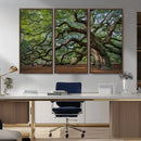 Historic Tree Wall Art – Framed Mossy Branch Canvas Artwork, by MyGreatCanvas | Canvas Wall Art Prints | Photo Prints & Wall Decor