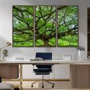 Ancient Tree Wall Art Canvas Print, Framed Sprawling by MyGreatCanvas | Canvas Wall Art Prints | Photo Prints & Wall Decor
