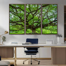 Angel Oak Tree Wall Art Canvas Print – Framed Majestic