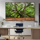 Majestic Oak Tree Wall Art Canvas Print – Ancient Branches by MyGreatCanvas | Canvas Wall Art Prints | Photo Prints & Wall Decor