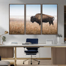 Wild Bison Wall Art – Framed Prairie Landscape Canvas by MyGreatCanvas | Canvas Wall Art Prints | Photo Prints & Wall Decor