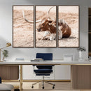 Texas Longhorn Wall Art – Framed Resting Bull Canvas by MyGreatCanvas | Canvas Wall Art Prints | Photo Prints & Wall Decor