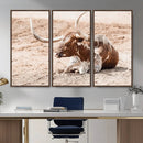 Texas Longhorn Wall Art Canvas Print – Framed Resting Bull by MyGreatCanvas | Canvas Wall Art Prints | Photo Prints & Wall Decor