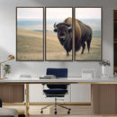 Bison Wall Art Canvas Print – Framed Buffalo American Bison