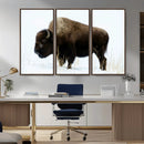 Bison Wall Art Canvas Print – Framed Western Wildlife