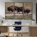 Bison Wall Art Canvas Print – Framed Western Wildlife Modern by MyGreatCanvas | Canvas Wall Art Prints | Photo Prints & Wall Decor
