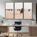 Bison Herd Wall Art Canvas Print – Framed Western Prairie