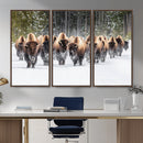 American Bison Herd Wall Art Canvas Print – Powerful Winter by MyGreatCanvas | Canvas Wall Art Prints | Photo Prints & Wall Decor