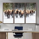 Bison Herd Scene Wall Art Canvas Print – Framed Western by MyGreatCanvas | Canvas Wall Art Prints | Photo Prints & Wall Decor