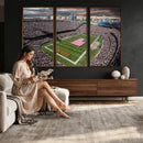 Chicago Bears Soldiers Field Wall Art Canvas Print – Framed
